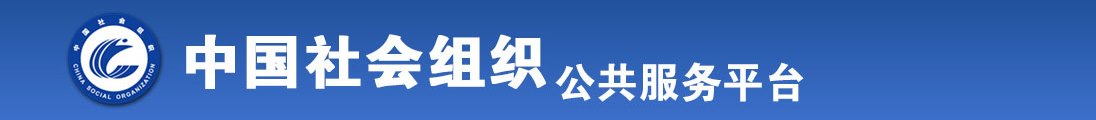 亚洲骚插全国社会组织信息查询